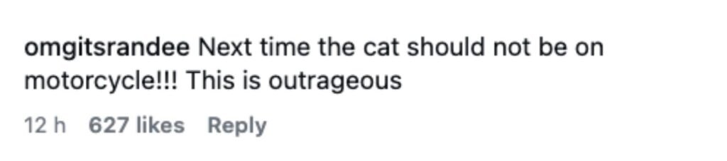 Social media comment on the post