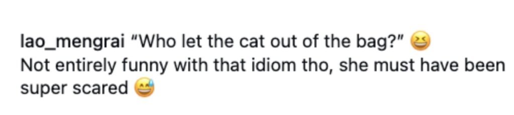 Social media comment on the post