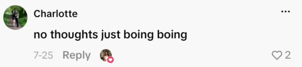 Social media comment on the post