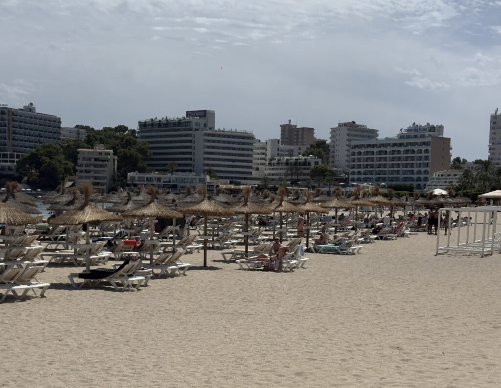 Edward Lawton says guests at his Mallorca hotel queue from 6am with coffee flasks to grab a sunbed