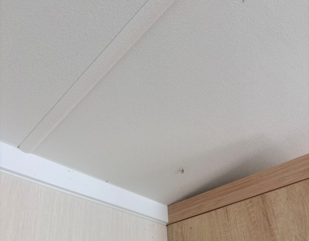 A mum says her children, six and seven, found loose prescription pills in a Haven caravan bedroom at Littlesea