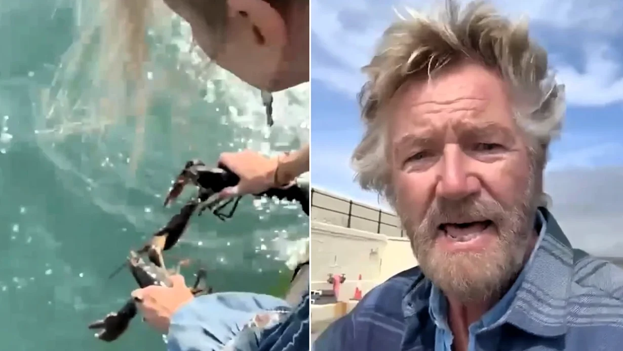 Noel Edmonds filmed himself freeing farm shop lobsters into Peel Harbour