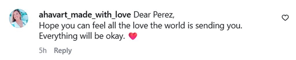 Social media comment on the post