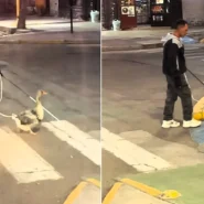 A blind man was filmed walking an Argentine street with a duck on a lead