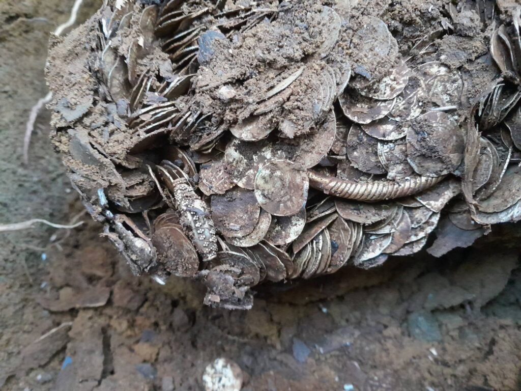 Kalle Lappinen nearly gave up metal detecting before unearthing thousands of Viking-era silver coins near Sysmä, Finland's biggest hoard