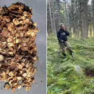 Kalle Lappinen nearly gave up metal detecting before unearthing thousands of Viking-era silver coins near Sysmä, Finland's biggest hoard