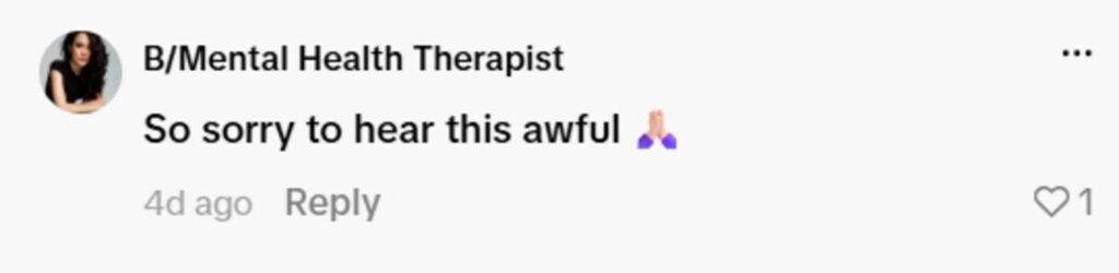 Social media comment on the post