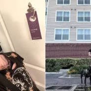 Lilli Holland has lived in hotels since June 2025 with her husband and two dogs. Free breakfast, weekly housekeeping, a pool, with someone else footing the bill.