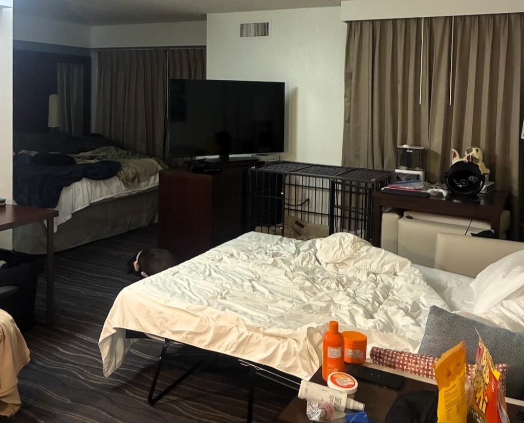 Lilli Holland has lived in hotels since June 2025 with her husband and two dogs. Free breakfast, weekly housekeeping, a pool, with someone else footing the bill.