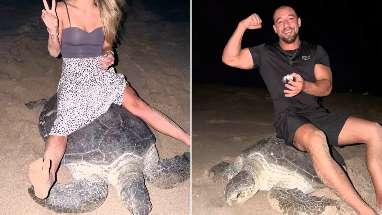 Fitness influencer Vadym Oleynik faces legal action in Oman after photos showed him sitting on a nesting sea turtle
