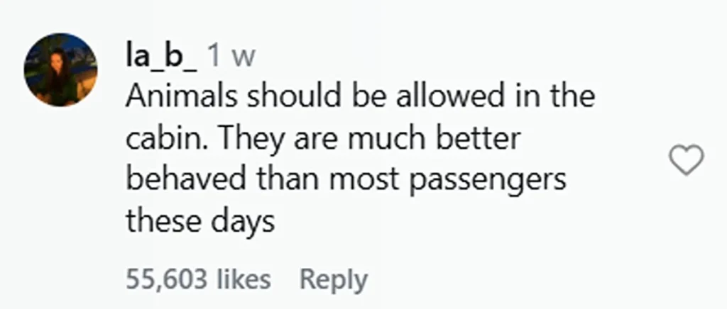 Social media comment on the post