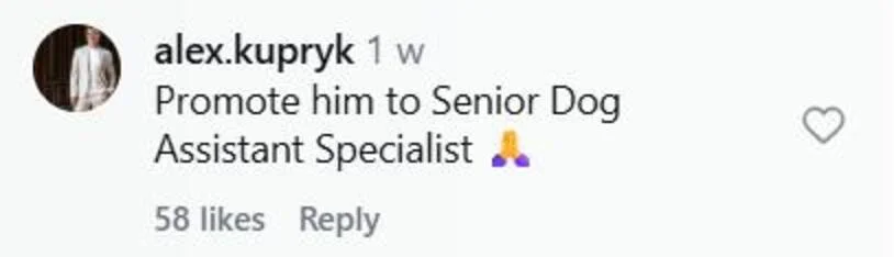 Social media comment on the post