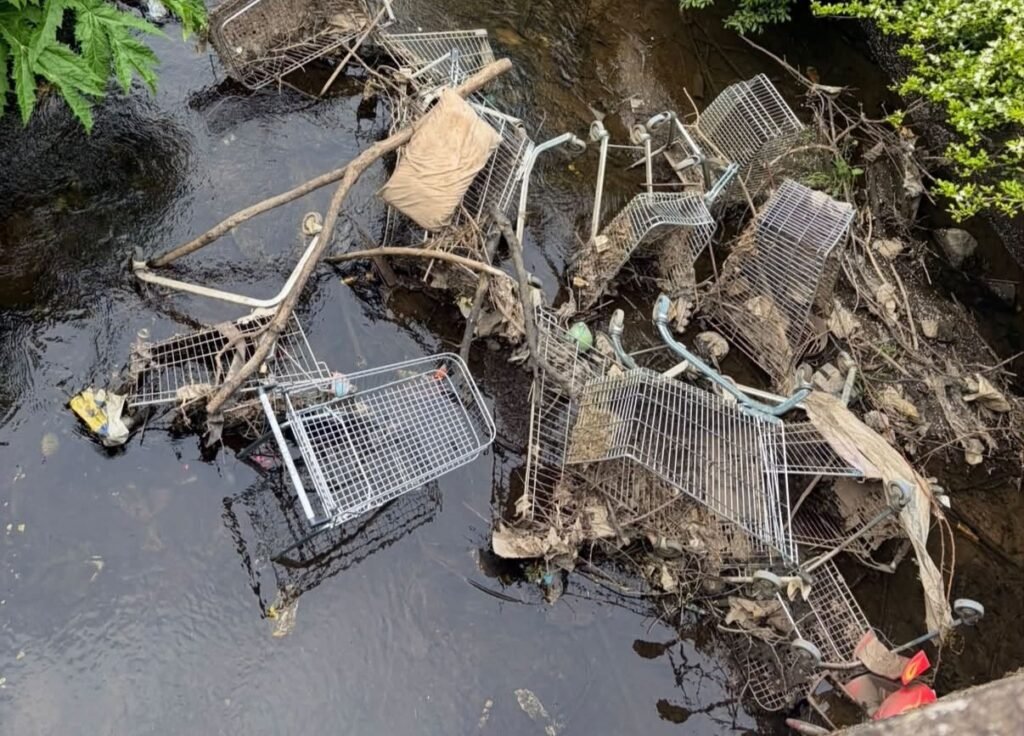 Glasgow plumber Kieran McGregor has hauled 140 supermarket trolleys from the Brock Burn in 30 days