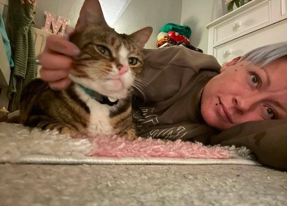 Max the tabby has 6,000 fans, his own calendar and a habit of climbing into cars