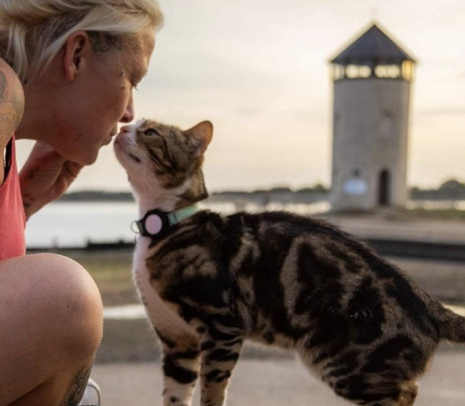 Max the tabby has 6,000 fans, his own calendar and a habit of climbing into cars
