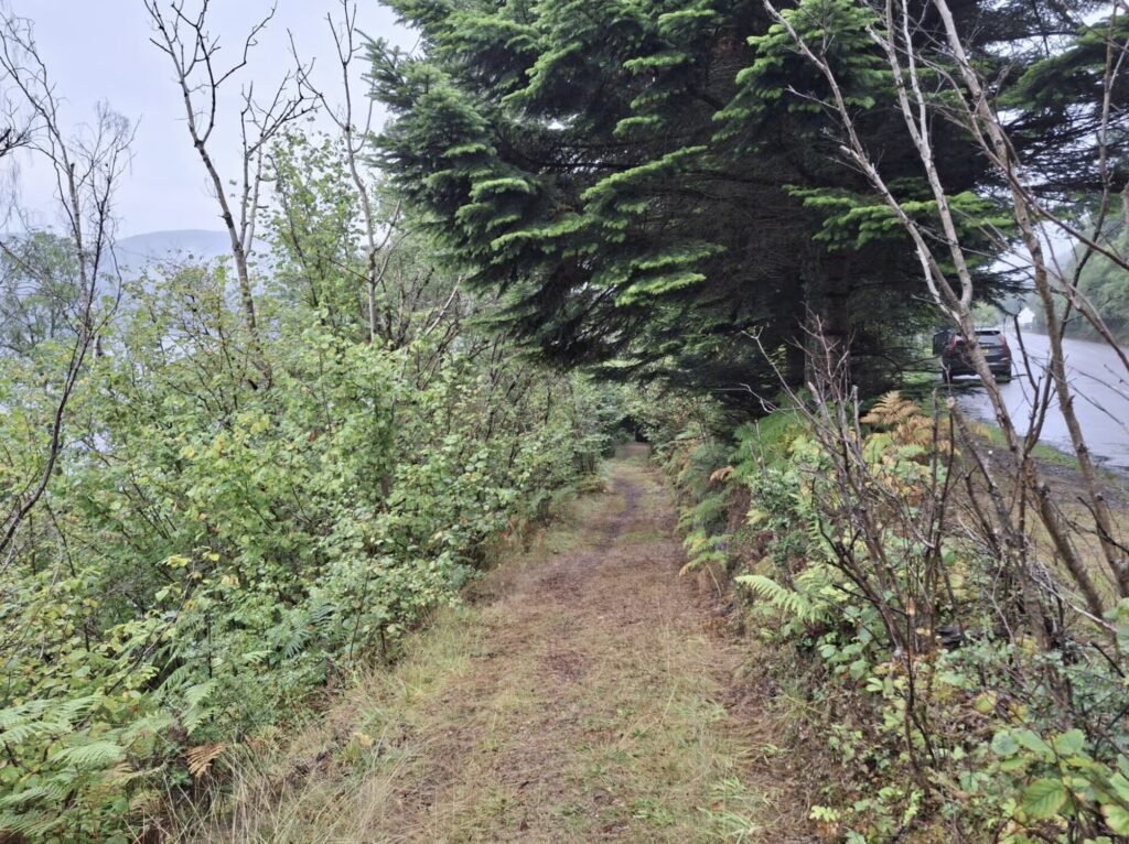 A 1.6km stretch of Loch Ness shoreline is on the market for £95,000, complete with salmon fishing rights, gravel beaches and Nessie sighting potential