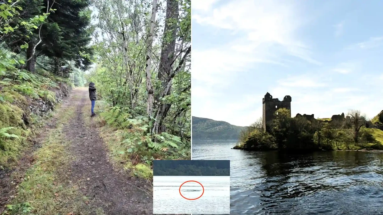 A 1.6km stretch of Loch Ness shoreline is on the market for £95,000, complete with salmon fishing rights, gravel beaches and Nessie sighting potential