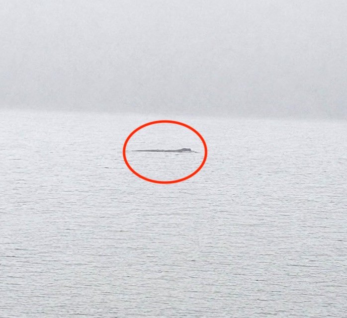 A 1.6km stretch of Loch Ness shoreline is on the market for £95,000, complete with salmon fishing rights, gravel beaches and Nessie sighting potential
