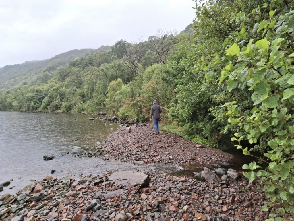 A 1.6km stretch of Loch Ness shoreline is on the market for £95,000, complete with salmon fishing rights, gravel beaches and Nessie sighting potential
