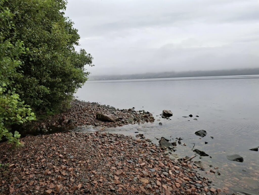 A 1.6km stretch of Loch Ness shoreline is on the market for £95,000, complete with salmon fishing rights, gravel beaches and Nessie sighting potential