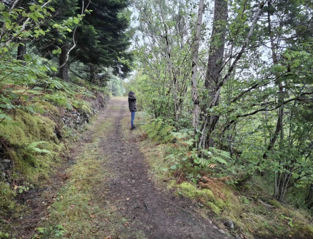 A 1.6km stretch of Loch Ness shoreline is on the market for £95,000, complete with salmon fishing rights, gravel beaches and Nessie sighting potential