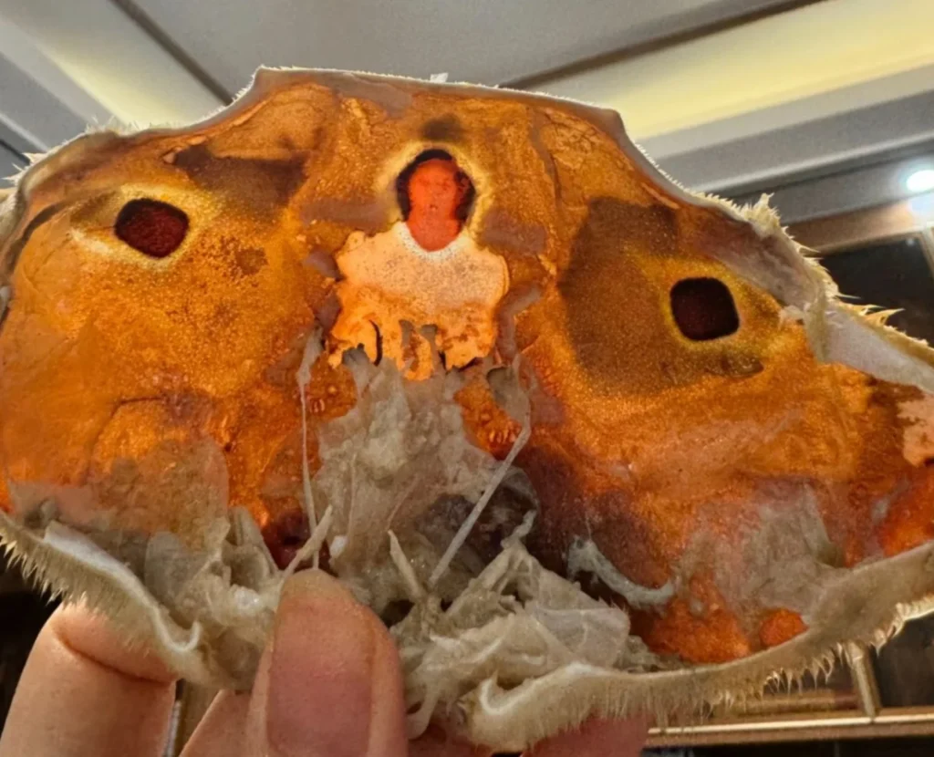 A Chinese diner spotted Jesus Christ's figure on a crab shell's innards during dinner. The viral discovery sparked religious jokes and widespread online amusement.