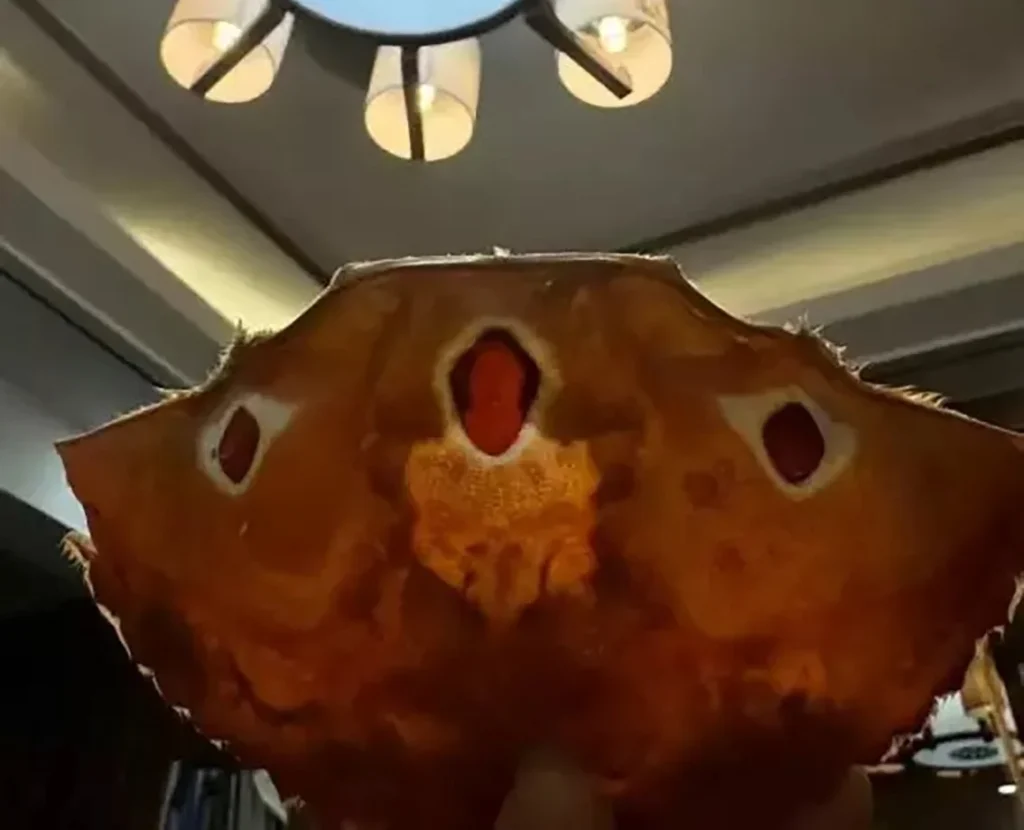 A Chinese diner spotted Jesus Christ's figure on a crab shell's innards during dinner. The viral discovery sparked religious jokes and widespread online amusement.