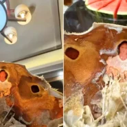A Chinese diner spotted Jesus Christ's figure on a crab shell's innards during dinner. The viral discovery sparked religious jokes and widespread online amusement.