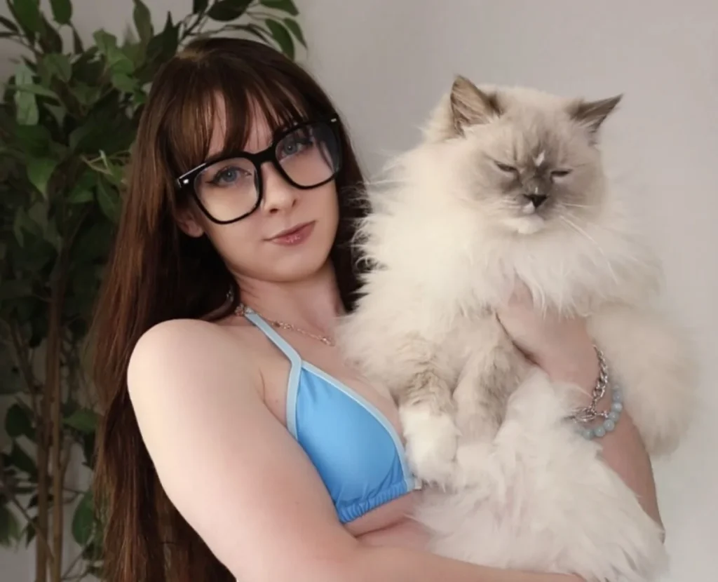 Woman in blue bikini holding large fluffy white cat indoors.