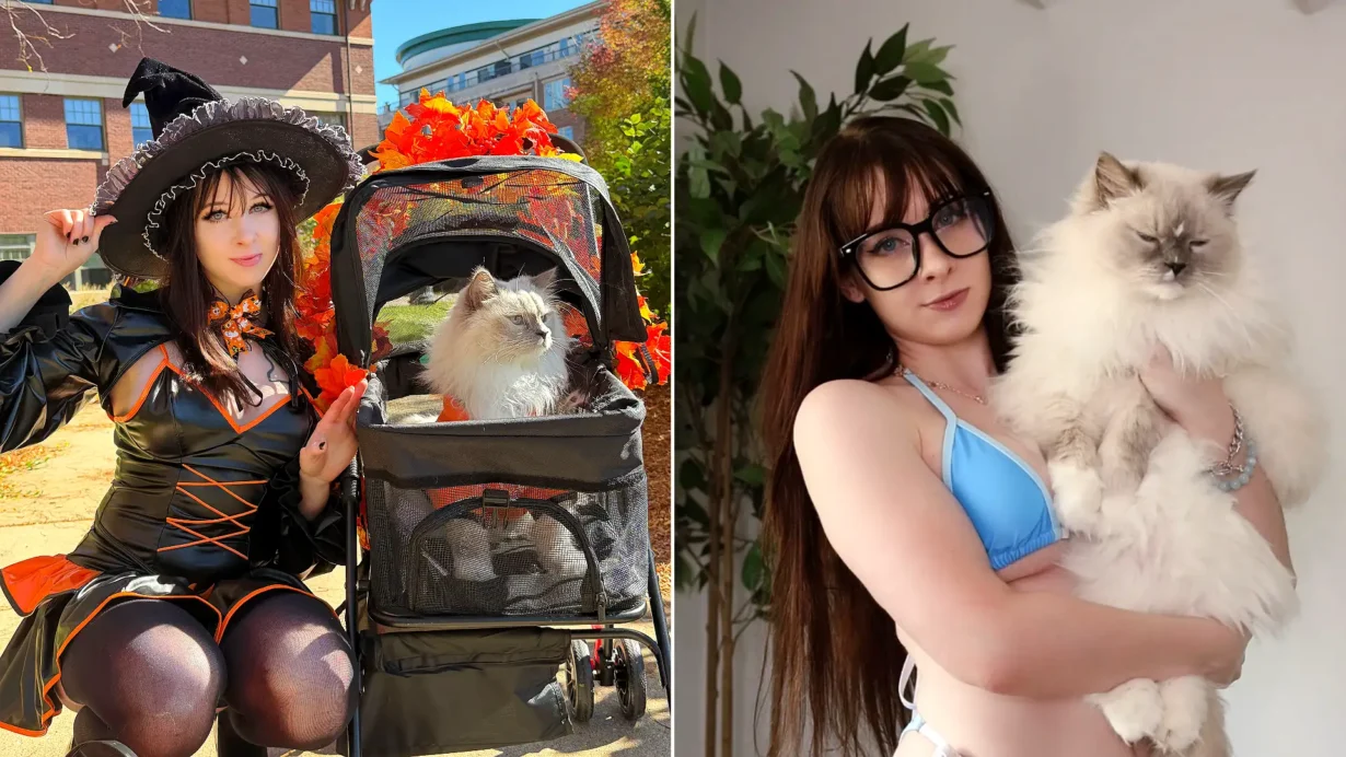 Woman in black Halloween costume beside pram decorated with orange flowers containing white fluffy cat, and close-up of two different coloured cats