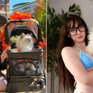 Woman in black Halloween costume beside pram decorated with orange flowers containing white fluffy cat, and close-up of two different coloured cats